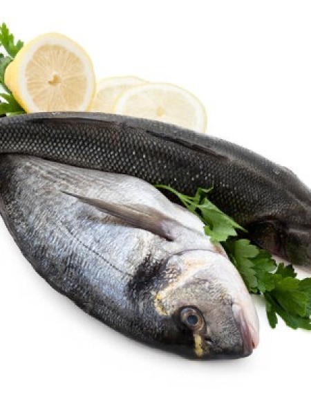 Fisch