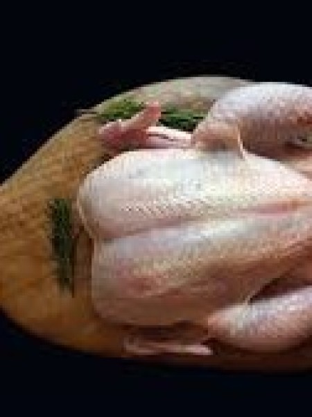 Poulette